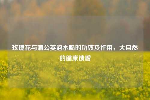 玫瑰花与蒲公英泡水喝的功效及作用，大自然的健康馈赠