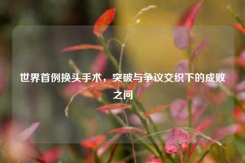 世界首例换头手术,突破与争议交织下的成败之问