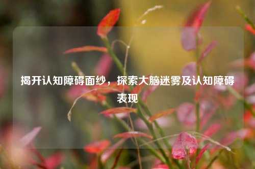 揭开认知障碍面纱,探索大脑迷雾及认知障碍表现