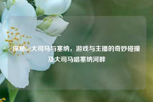 探秘lol大司马与塞纳,游戏与主播的奇妙碰撞及大司马唱塞纳河畔