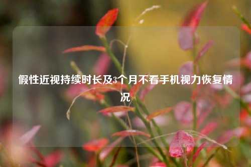 假性近视持续时长及3个月不看手机视力恢复情况