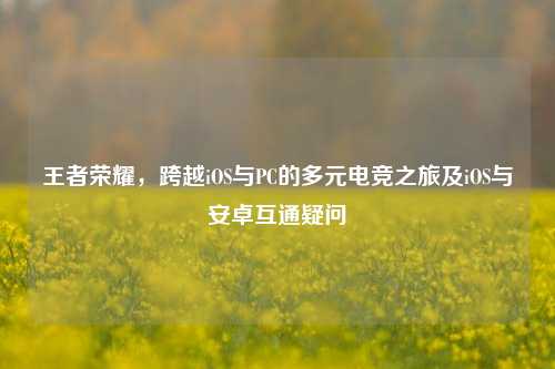 王者荣耀,跨越iOS与PC的多元电竞之旅及iOS与安卓互通疑问