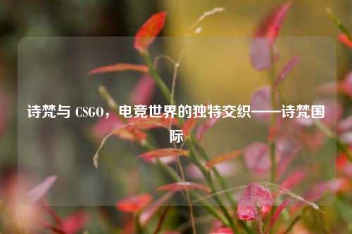 诗梵与 CSGO,电竞世界的独特交织——诗梵国际