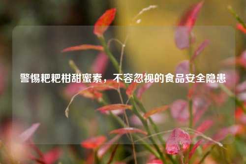 警惕耙耙柑甜蜜素,不容忽视的食品安全隐患