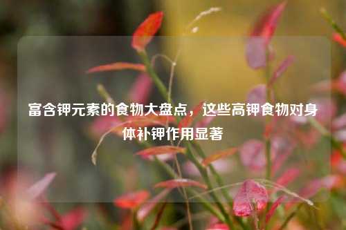 富含钾元素的食物大盘点,这些高钾食物对身体补钾作用显著