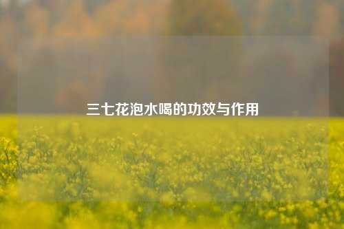 三七花泡水喝的功效与作用