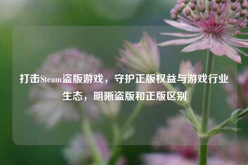 打击Steam盗版游戏,守护正版权益与游戏行业生态,明晰盗版和正版区别