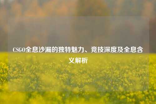 CSGO全息沙漏的独特魅力、竞技深度及全息含义解析