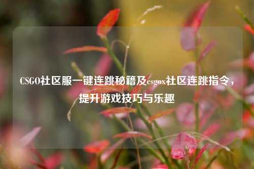 CSGO社区服一键连跳秘籍及csgox社区连跳指令,提升游戏技巧与乐趣