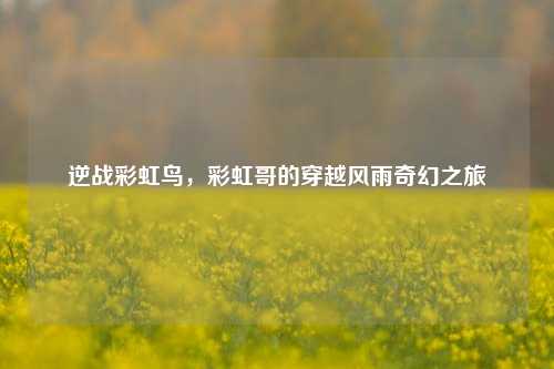 逆战彩虹鸟,彩虹哥的穿越风雨奇幻之旅