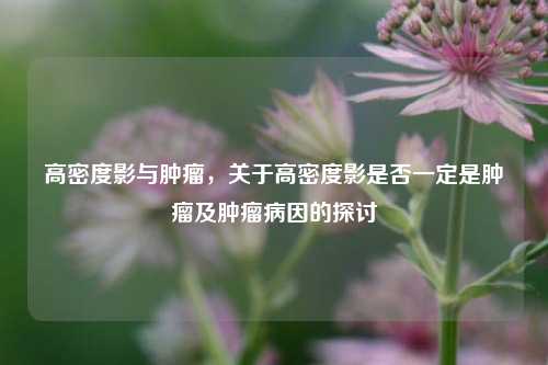 高密度影与肿瘤,关于高密度影是否一定是肿瘤及肿瘤病因的探讨