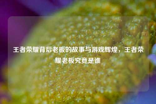 王者荣耀背后老板的故事与游戏辉煌,王者荣耀老板究竟是谁