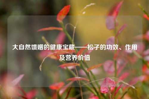 大自然馈赠的健康宝藏——松子的功效、作用及营养价值