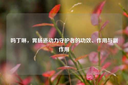 吗丁啉,胃肠道动力守护者的功效、作用与副作用