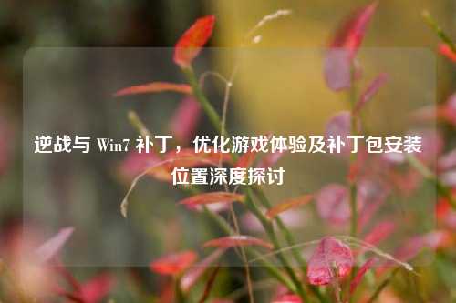 逆战与 Win7 补丁,优化游戏体验及补丁包安装位置深度探讨