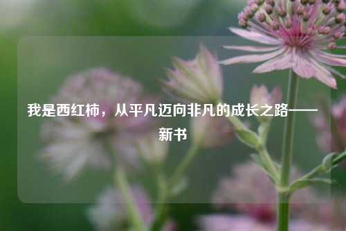 我是西红柿，从平凡迈向非凡的成长之路——新书