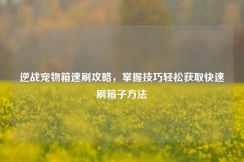 逆战宠物箱速刷攻略,掌握技巧轻松获取快速刷箱子方法