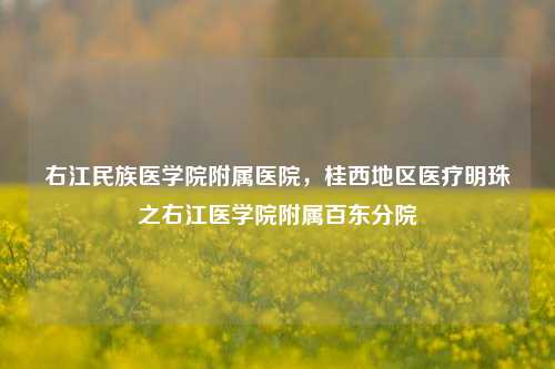右江民族医学院附属医院,桂西地区医疗明珠之右江医学院附属百东分院