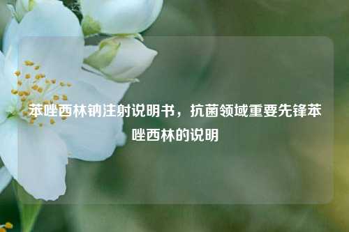 苯唑西林钠注射说明书,抗菌领域重要先锋苯唑西林的说明
