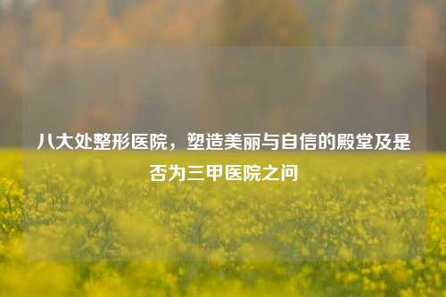 八大处整形医院，塑造美丽与自信的殿堂及是否为三甲医院之问