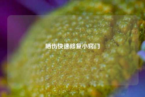 晒伤快速修复小窍门
