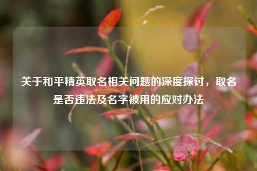 关于和平精英取名相关问题的深度探讨,取名是否违法及名字被用的应对办法