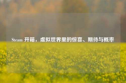 Steam 开箱,虚拟世界里的惊喜、期待与概率