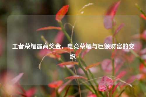 王者荣耀最高奖金,电竞荣耀与巨额财富的交织