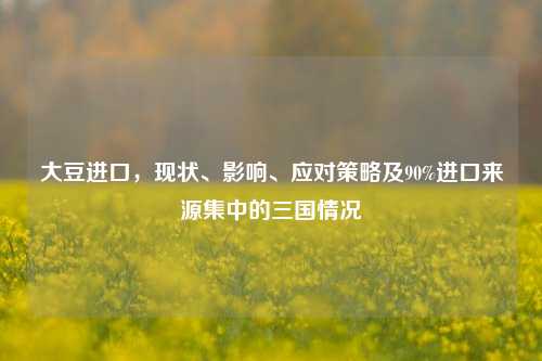 大豆进口，现状、影响、应对策略及90%进口来源集中的三国情况