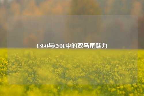 CSGO与CSOL中的双马尾魅力
