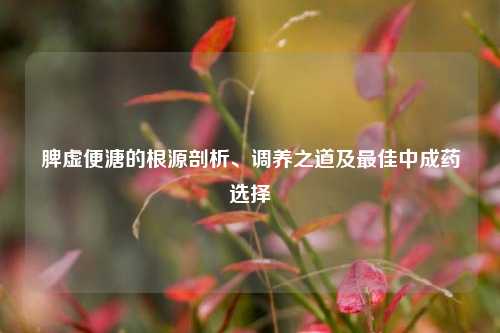 脾虚便溏的根源剖析、调养之道及最佳中成药选择