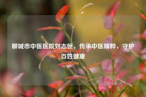 聊城市中医医院刘志恒,传承中医精粹,守护百姓健康