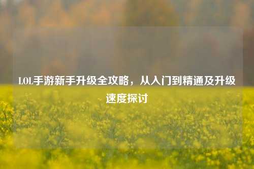 LOL手游新手升级全攻略,从入门到精通及升级速度探讨