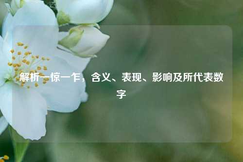 解析一惊一乍，含义、表现、影响及所代表数字