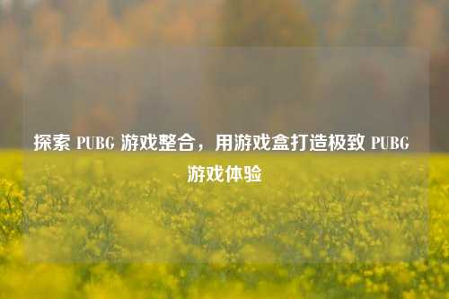 探索 PUBG 游戏整合，用游戏盒打造极致 PUBG 游戏体验