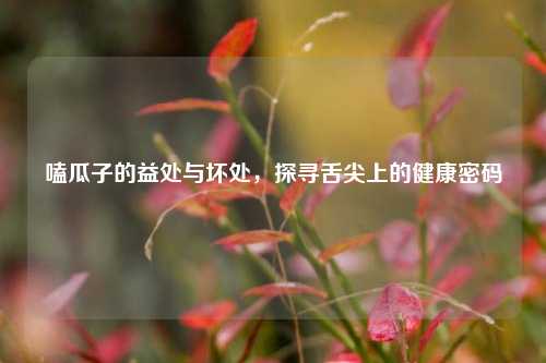 嗑瓜子的益处与坏处，探寻舌尖上的健康密码
