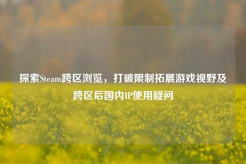 探索Steam跨区浏览,打破限制拓展游戏视野及跨区后国内IP使用疑问