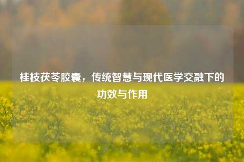 桂枝茯苓胶囊，传统智慧与现代医学交融下的功效与作用