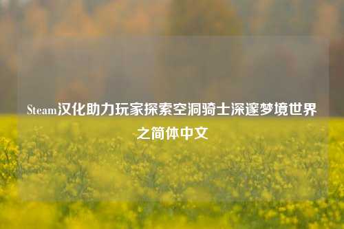 Steam汉化助力玩家探索空洞骑士深邃梦境世界之简体中文