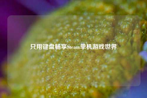 只用键盘畅享Steam单机游戏世界