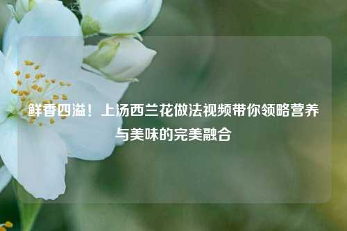 鲜香四溢!上汤西兰花做法视频带你领略营养与美味的完美融合