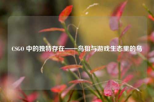 CSGO 中的独特存在——鸟狙与游戏生态里的鸟