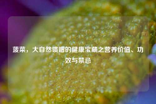 菠菜，大自然馈赠的健康宝藏之营养价值、功效与禁忌