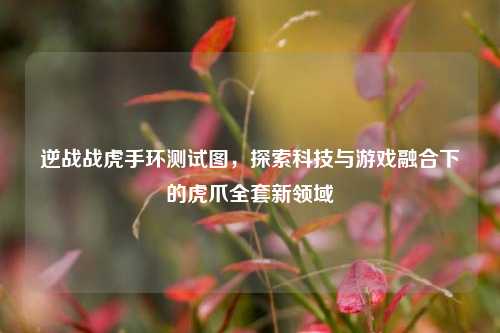 逆战战虎手环测试图,探索科技与游戏融合下的虎爪全套新领域