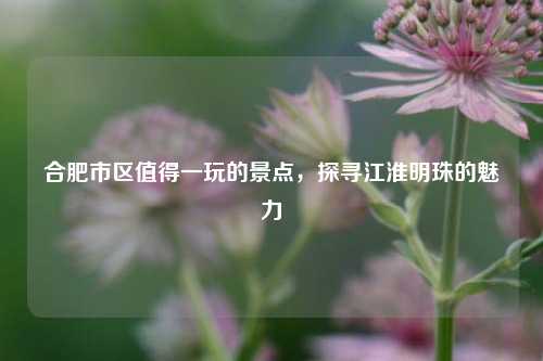 合肥市区值得一玩的景点,探寻江淮明珠的魅力