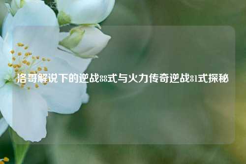 洛哥解说下的逆战88式与火力传奇逆战81式探秘