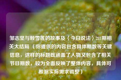邹志坚与赖雪莲的故事及〈今日说法〉281期相关大结局 （你提供的内容包含具体期数等关键信息，这样的标题既涵盖了人物又包含了相关节目期数，较为全面反映了整体内容，具体可根据实际需求调整）
