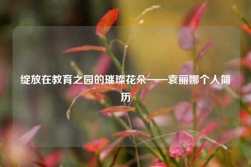 绽放在教育之园的璀璨花朵——袁丽娜个人简历