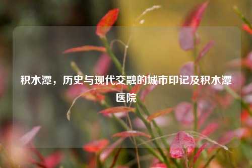 积水潭,历史与现代交融的城市印记及积水潭医院