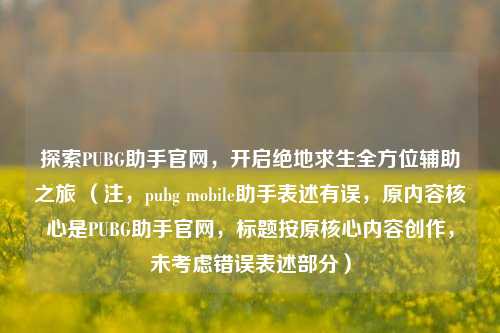探索PUBG助手官网,开启绝地求生全方位辅助之旅 (注,pubg mobile助手表述有误,原内容核心是PUBG助手官网,标题按原核心内容创作,未考虑错误表述部分)